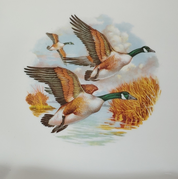 Naaman Israel Game Birds Of the World Platter Tray - Picture 5 of 6